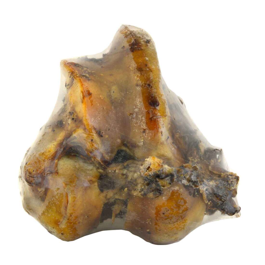 Jones Natural Dog Chews, Femur Knuckle Bone, 1 Each