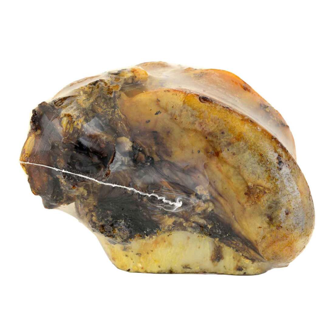 Jones Natural Dog Chews, Femur Knuckle Bone, 1 Each