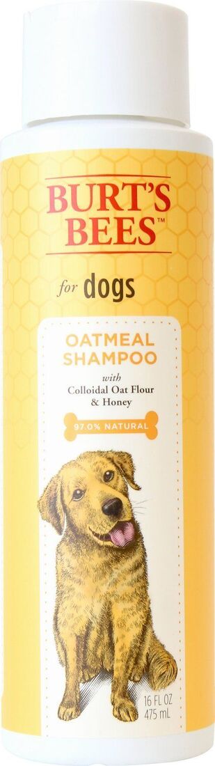 Burt's Bees Oatmeal Shampoo For Dogs, 16 Ounces