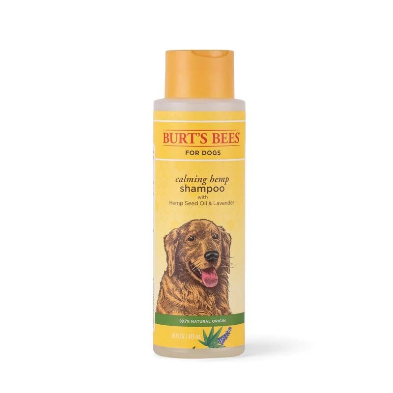 Burts Bees Calming Hemp Shampoo, 16 Ounces