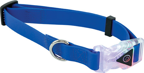 Play On Dog Collar, Blue, Waterproof, LED, Small