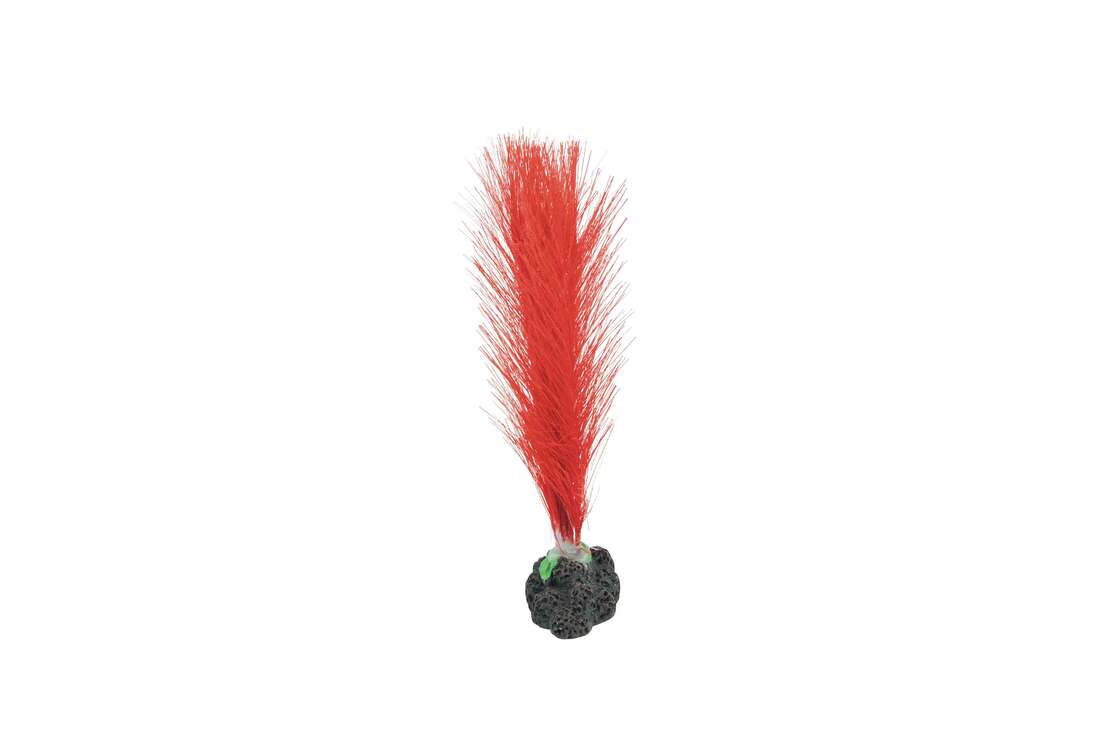 Fins First Silk Plant Red, Small