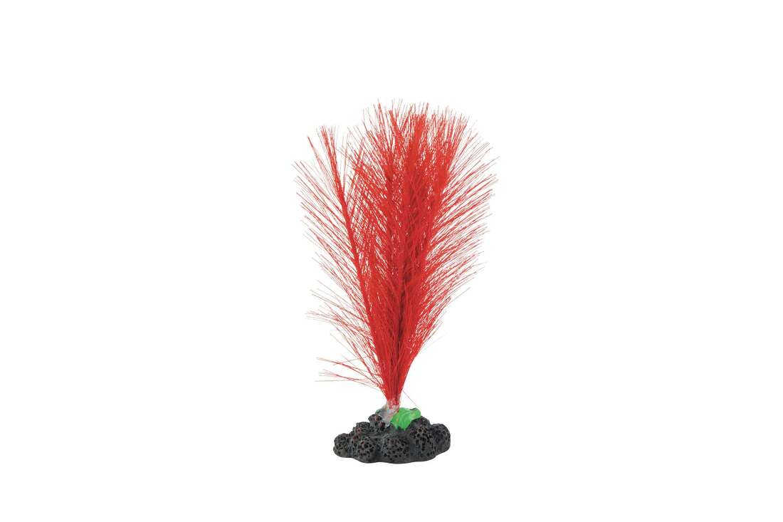 Fins First Silk Plant Red, Small
