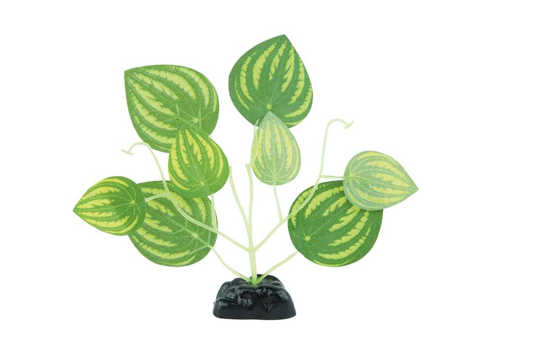 Fins First Silk Plant Green Leaf , Small