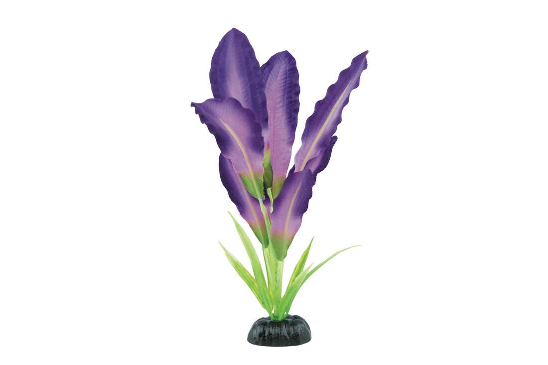 Fins First Silk Plant Purple, Medium