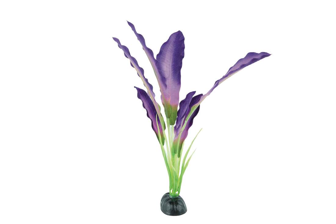 Fins First Silk Plant Purple, Medium