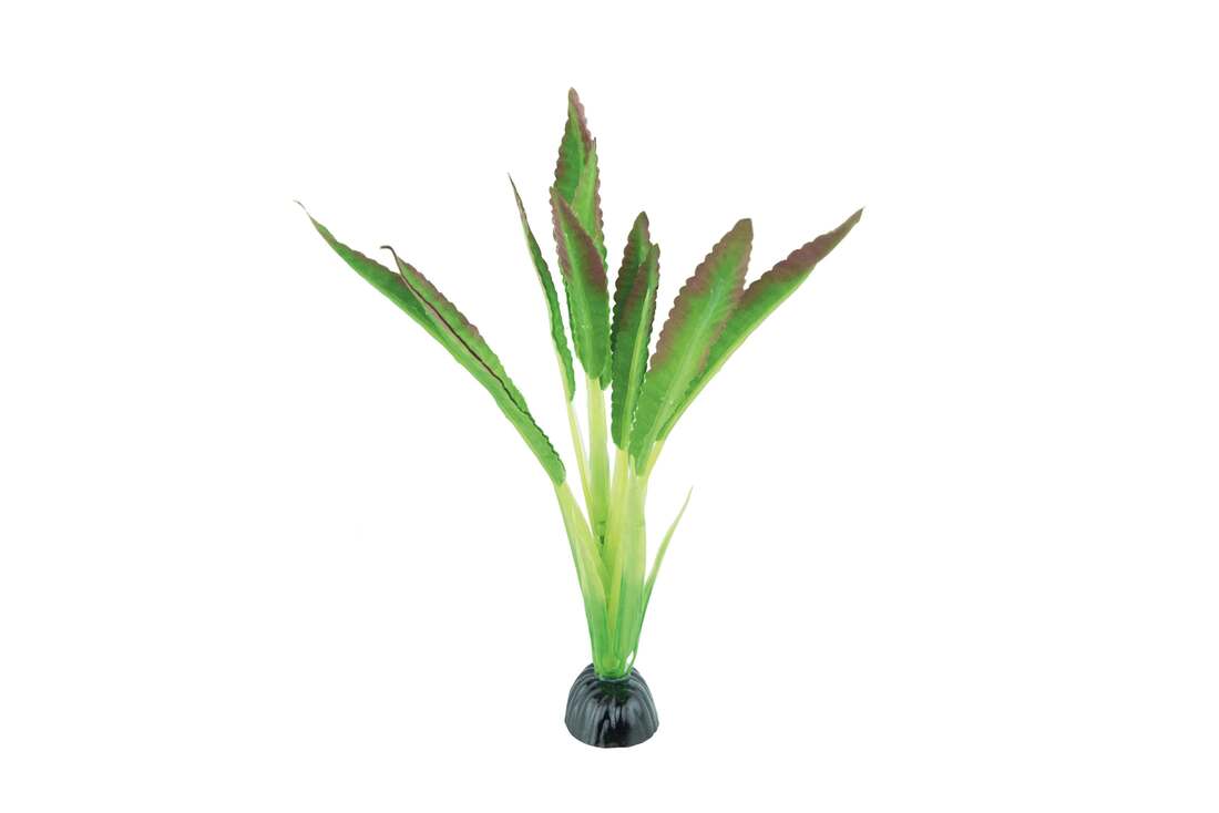 Fins First Silk Plant Green And Purple, Medium