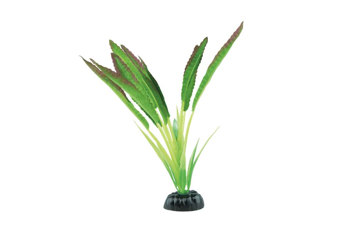 Fins First Silk Plant Green And Purple, Medium