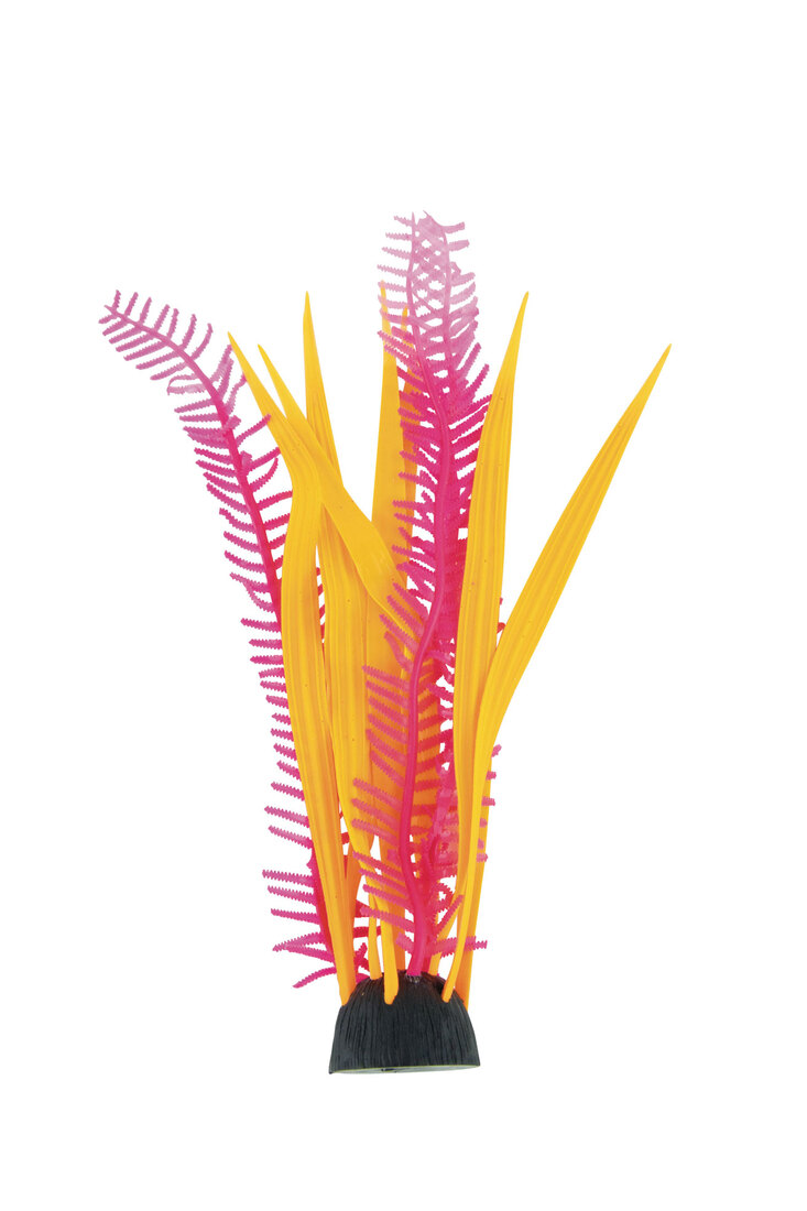 Fins First Silicone Plant, Orange And Pink