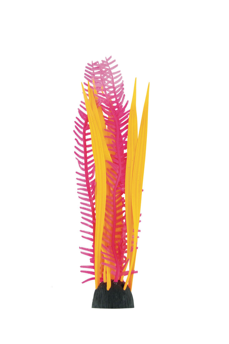 Fins First Silicone Plant, Orange And Pink