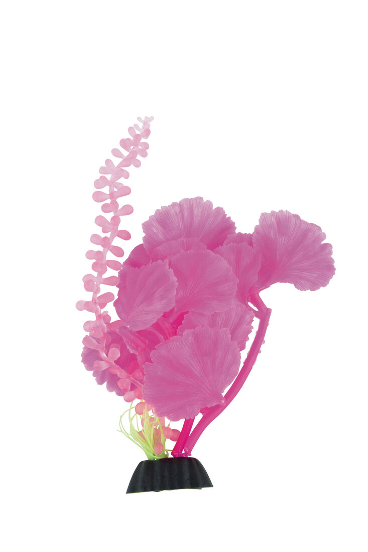 Fins First Silicone Plant, Pink