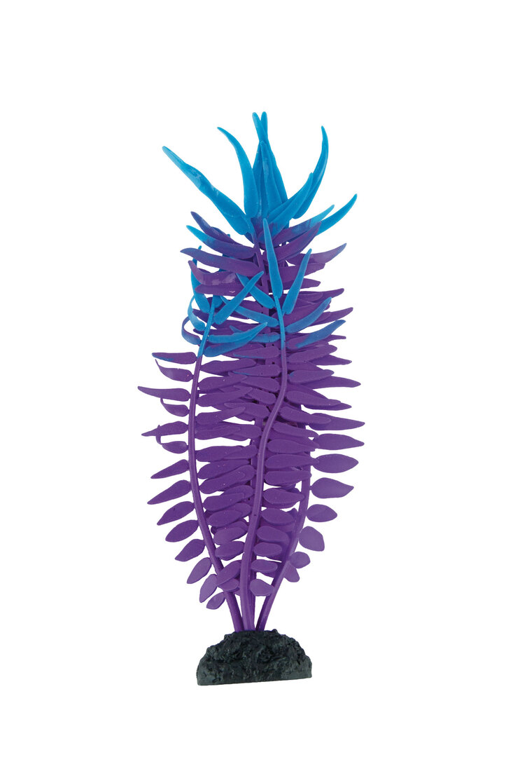 Fins First Silicone Plant Purple And Blue