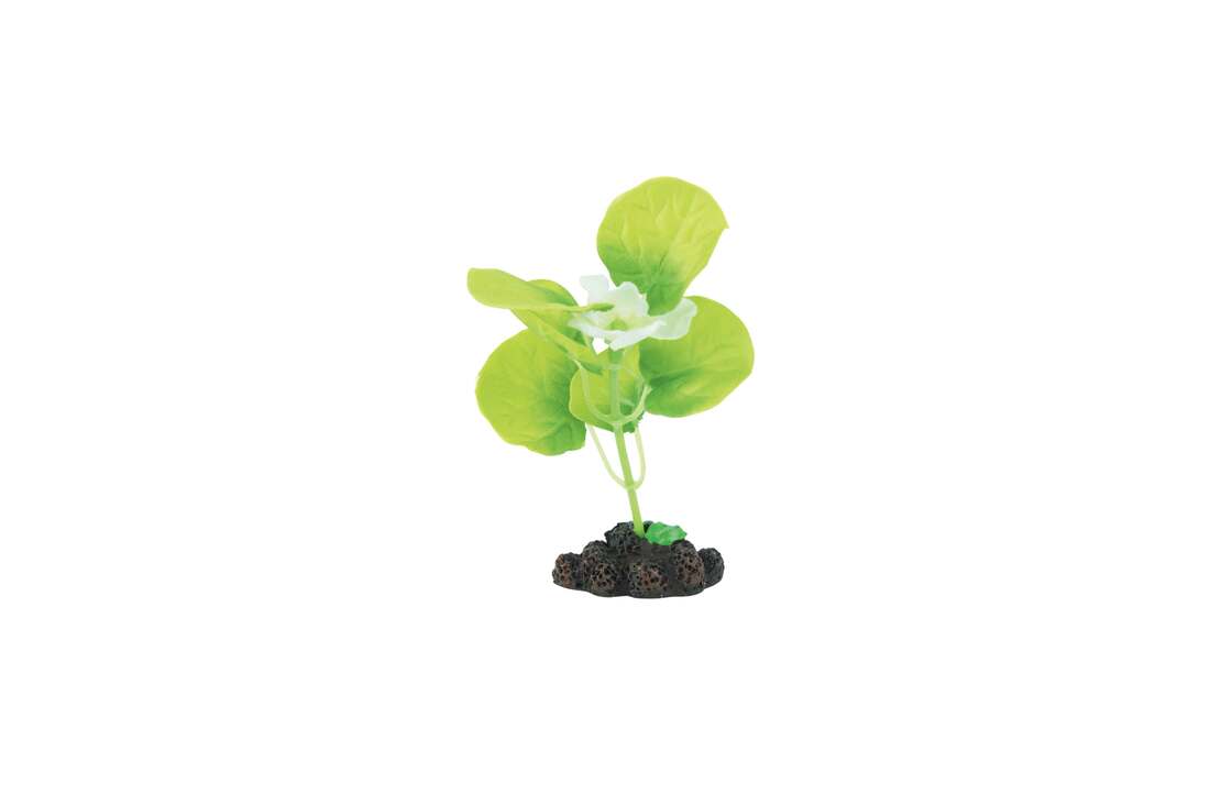 Fins First Silk Plant Green And Yellow, Small