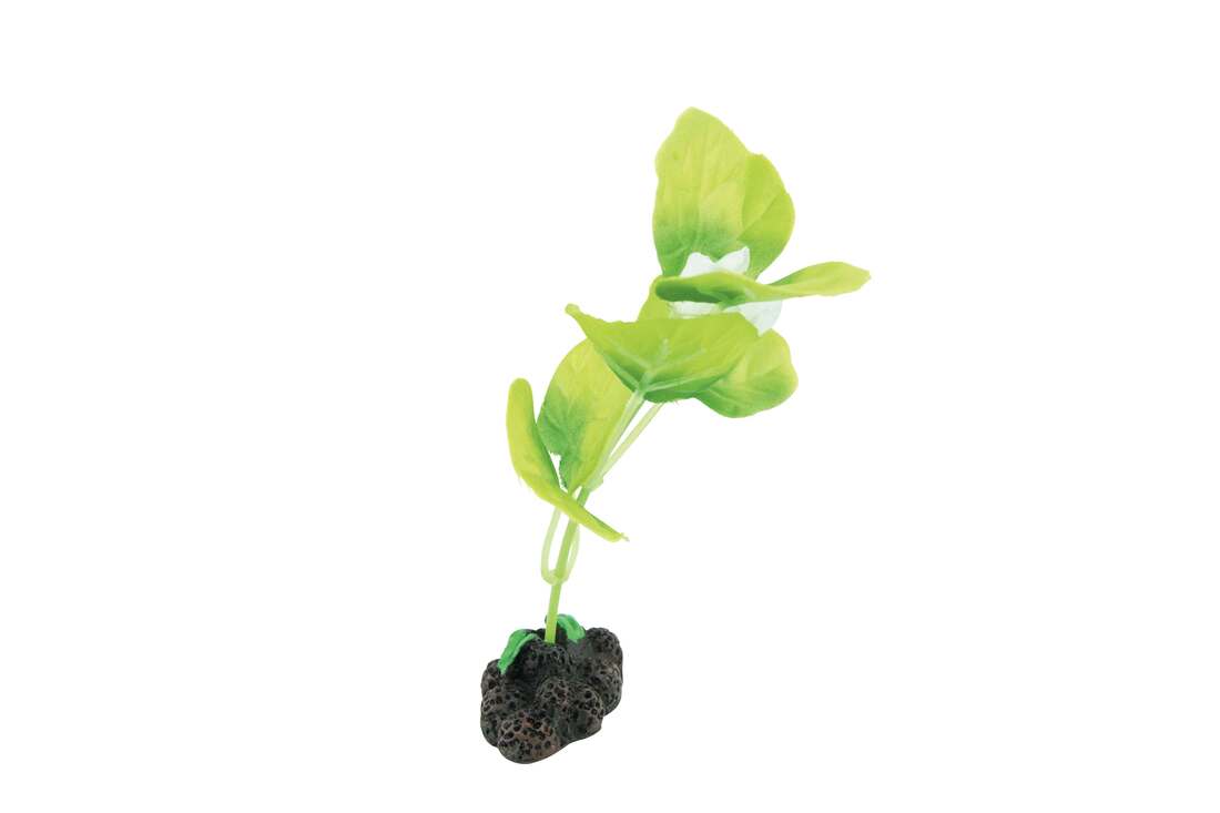 Fins First Silk Plant Green And Yellow, Small