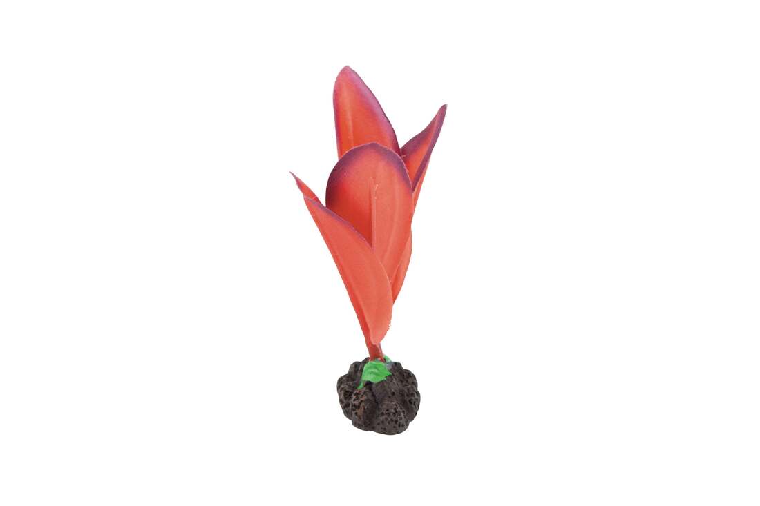 Fins First Silk Plant Pink, Small