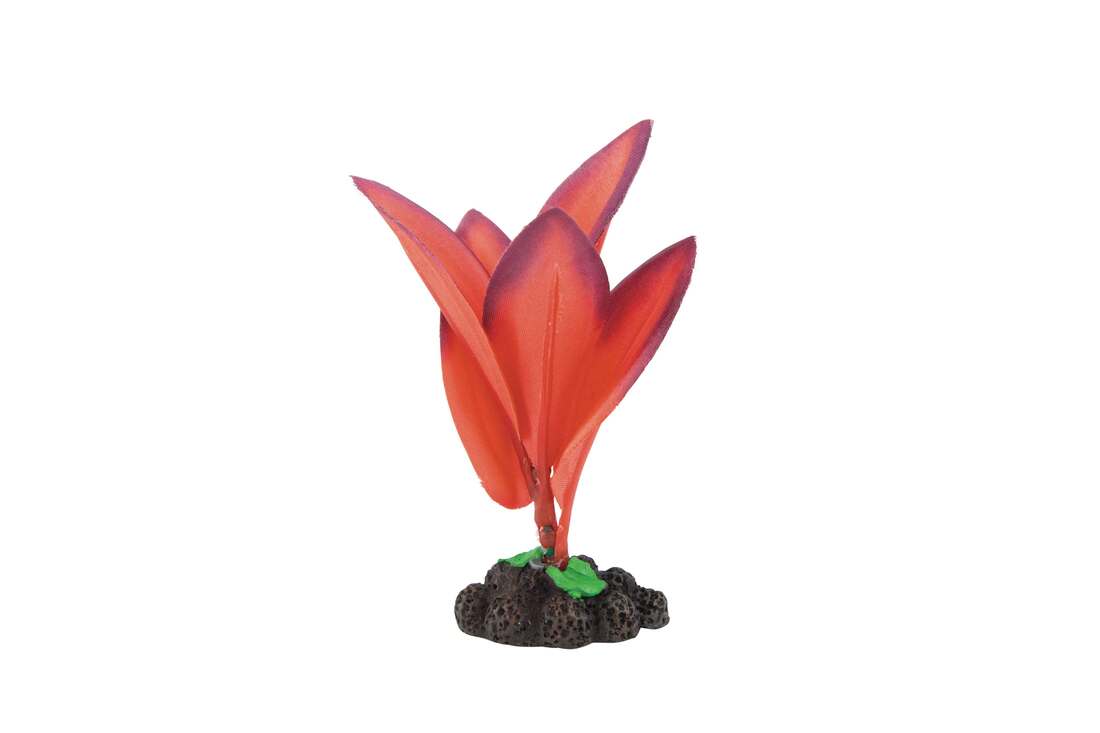 Fins First Silk Plant Pink, Small