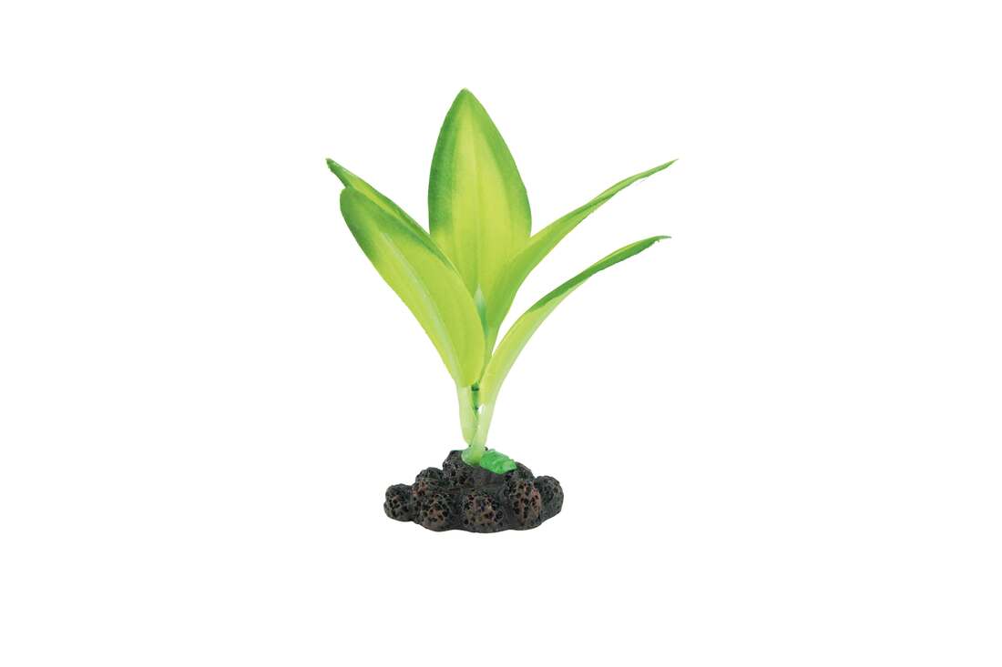 Fins First Silk Plant Green, Small