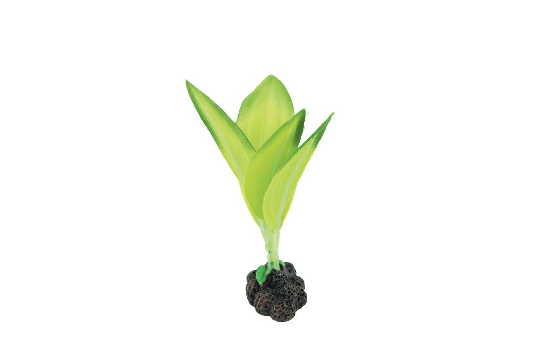 Fins First Silk Plant Green, Small