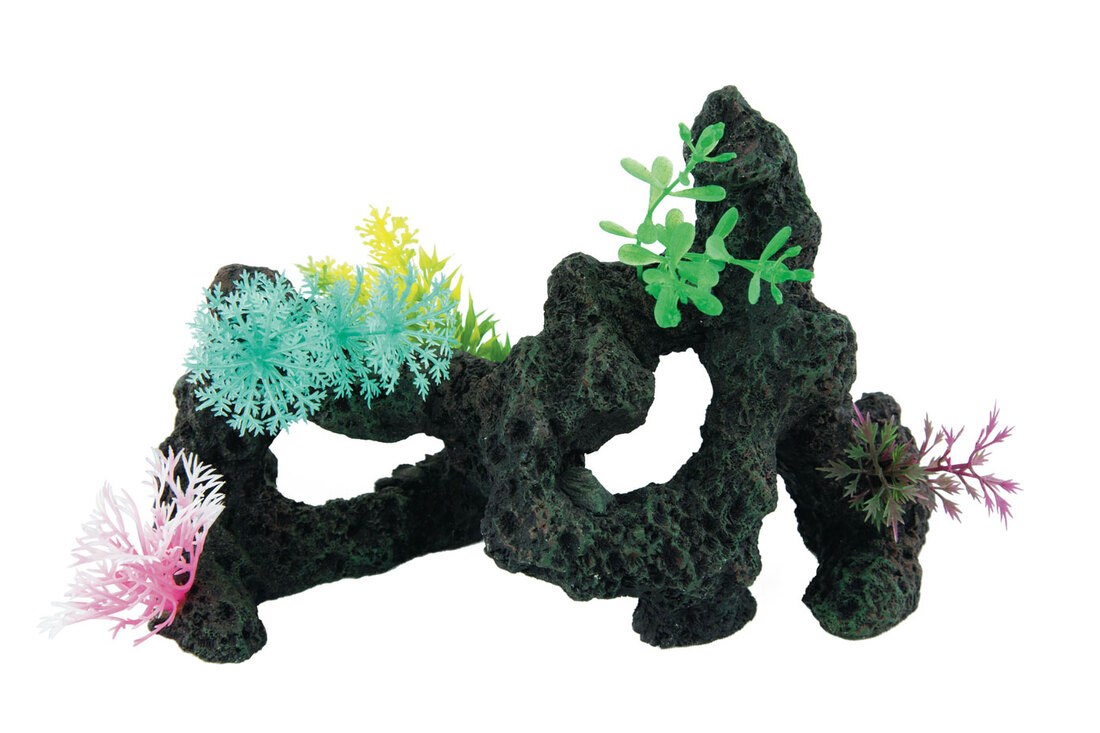 Fins First Coral Reef Wall With Silicone Anemone