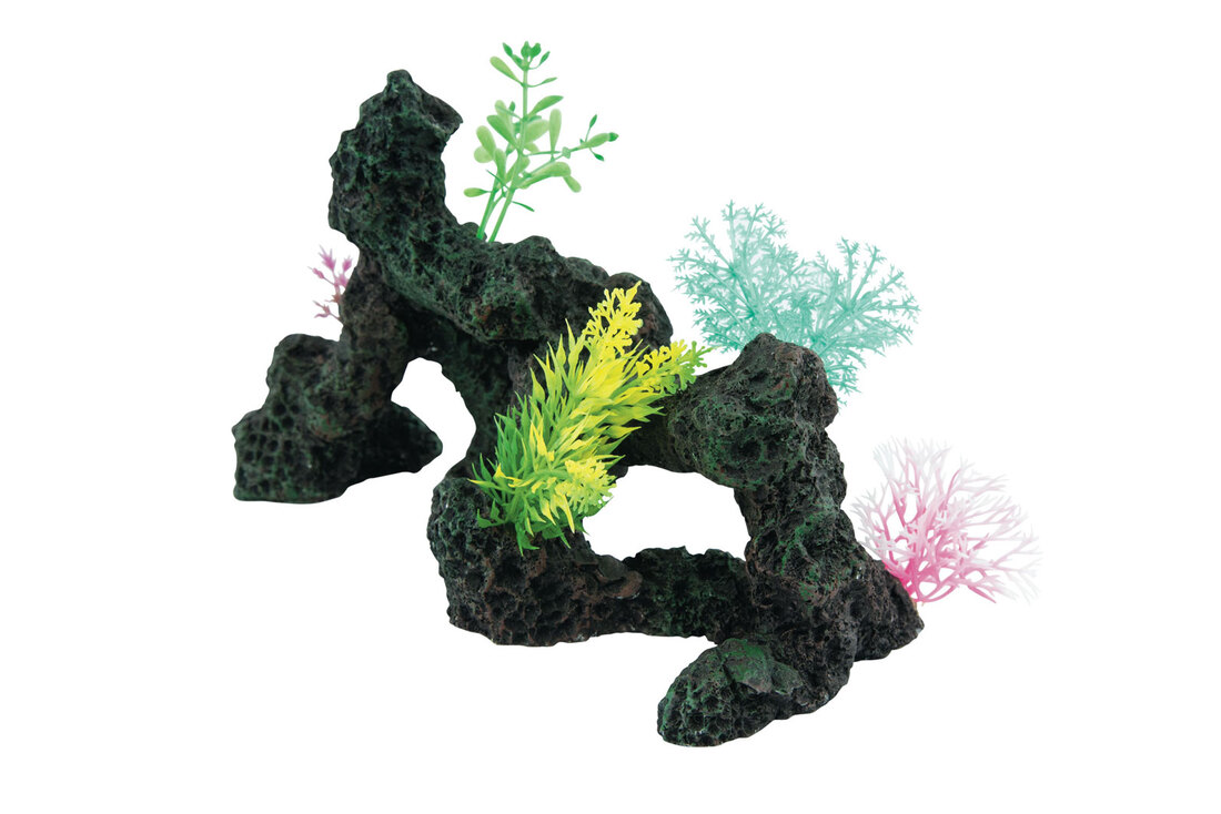Fins First Coral Reef Wall With Silicone Anemone