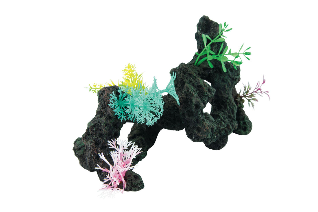 Fins First Coral Reef Wall With Silicone Anemone
