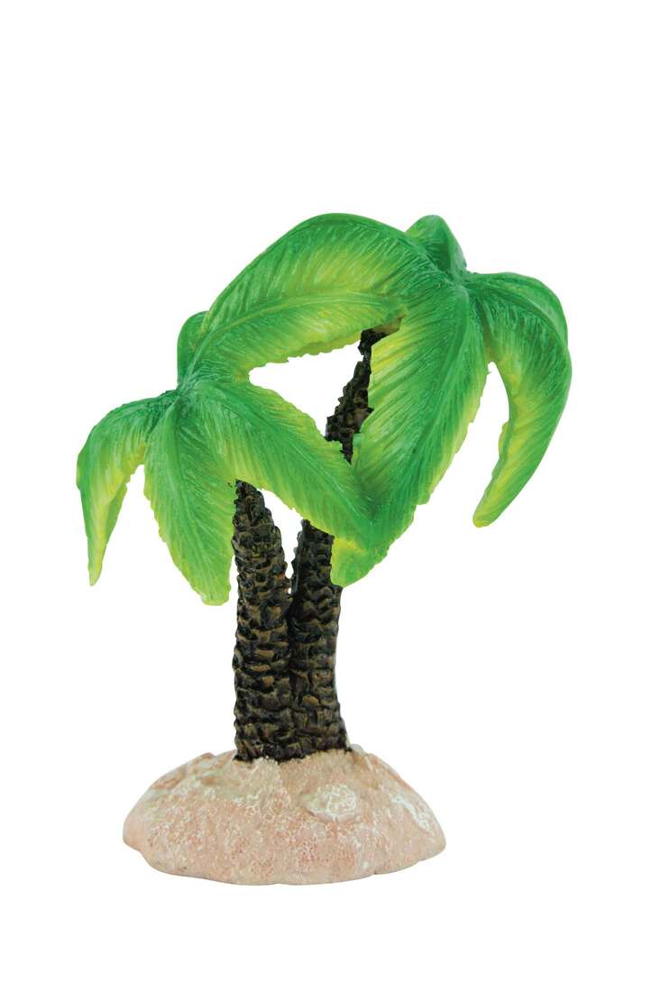 Fins First Palm Trees