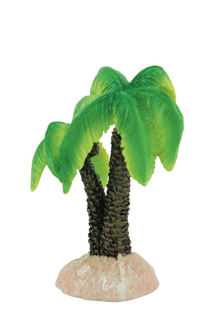 Fins First Palm Trees