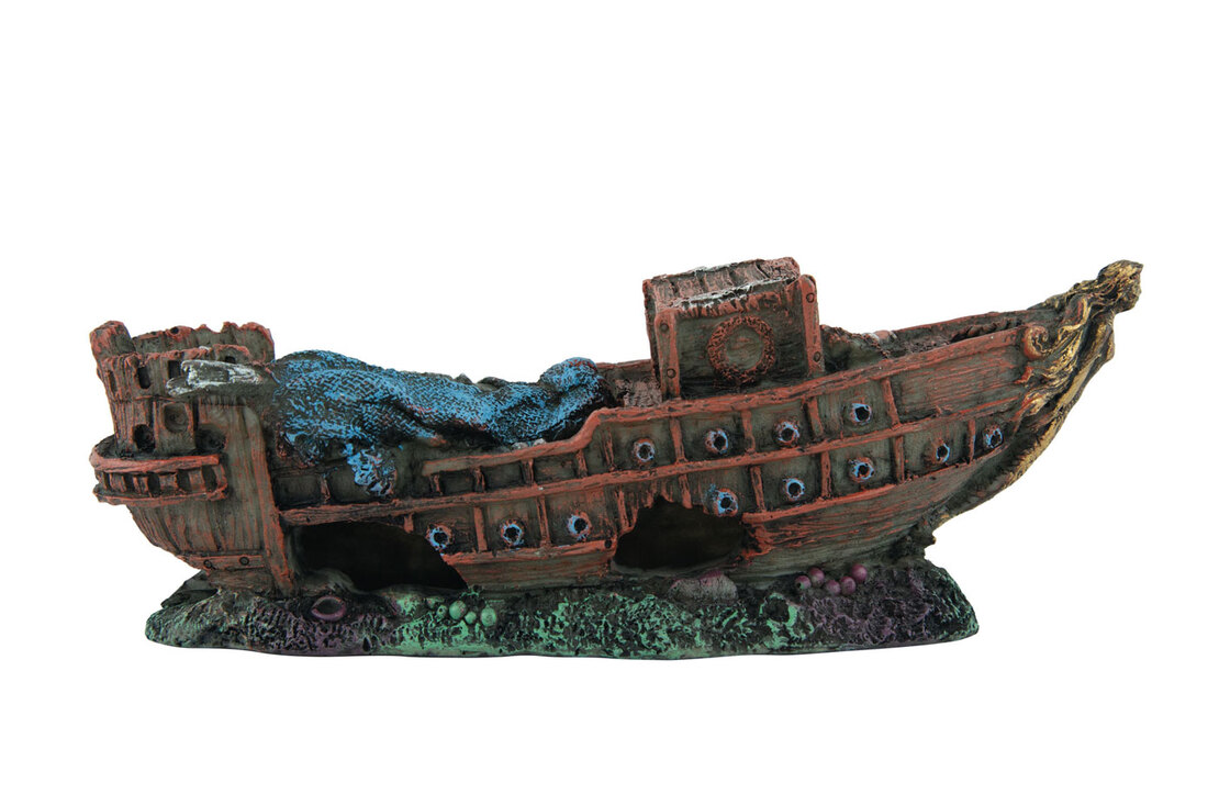 Fins First Sunken Ship