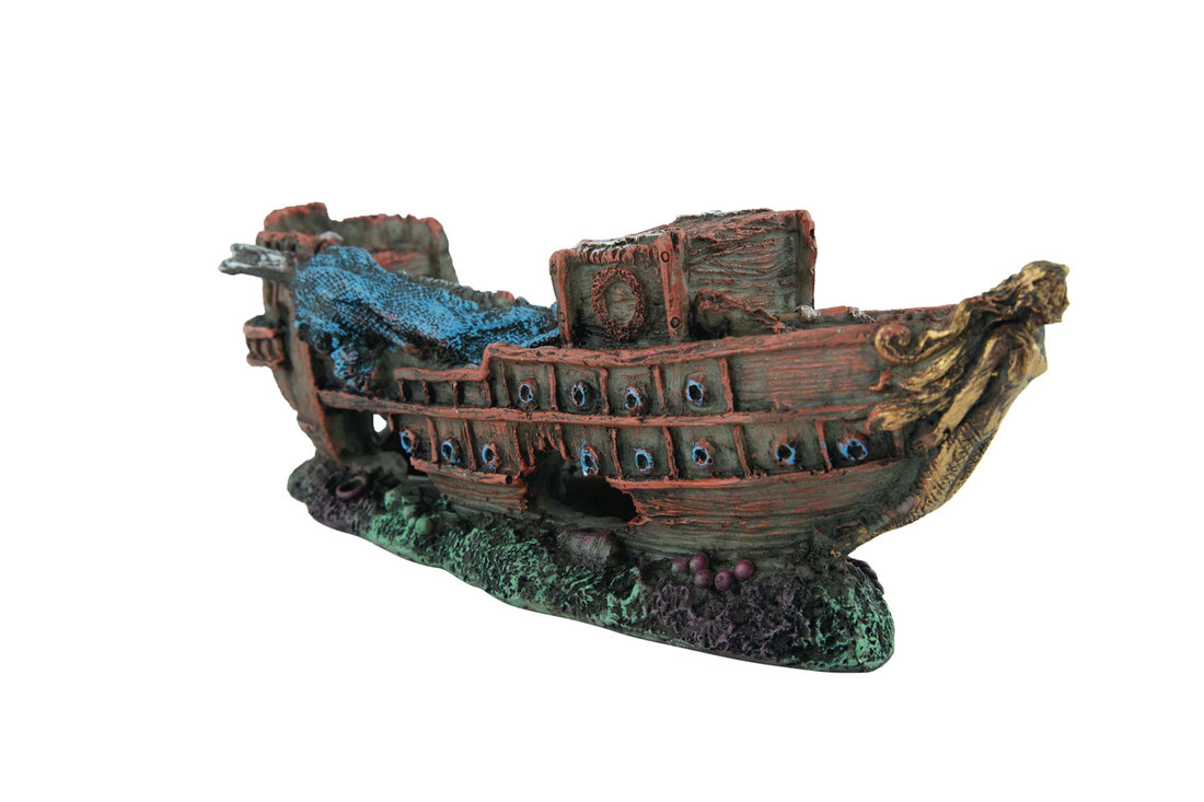 Fins First Sunken Ship