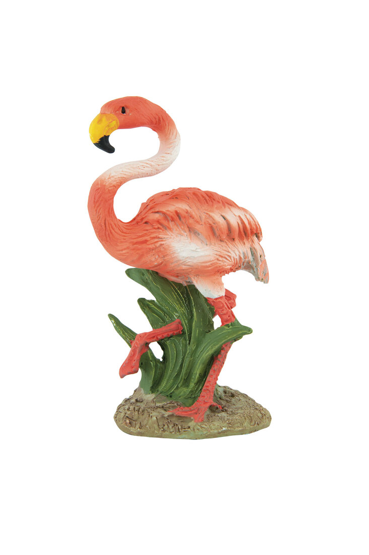 Fins First Standing Flamingo