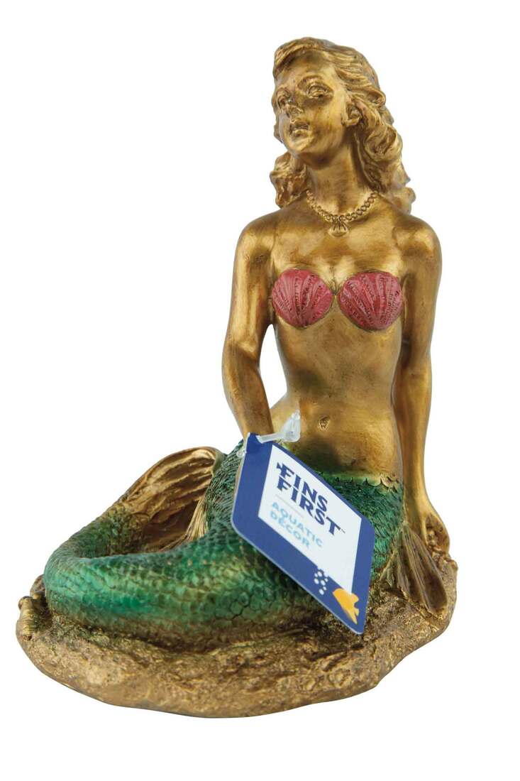 Fins First Sunken Mermaid