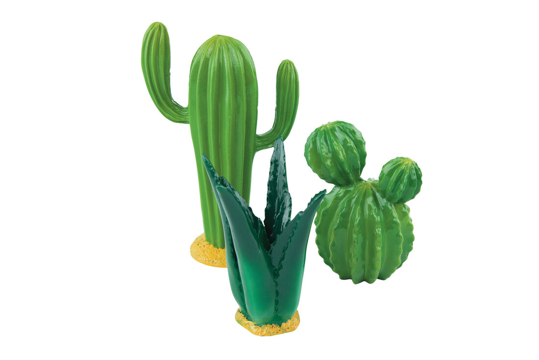 Fins First Cactus Decor 3 Piece Set