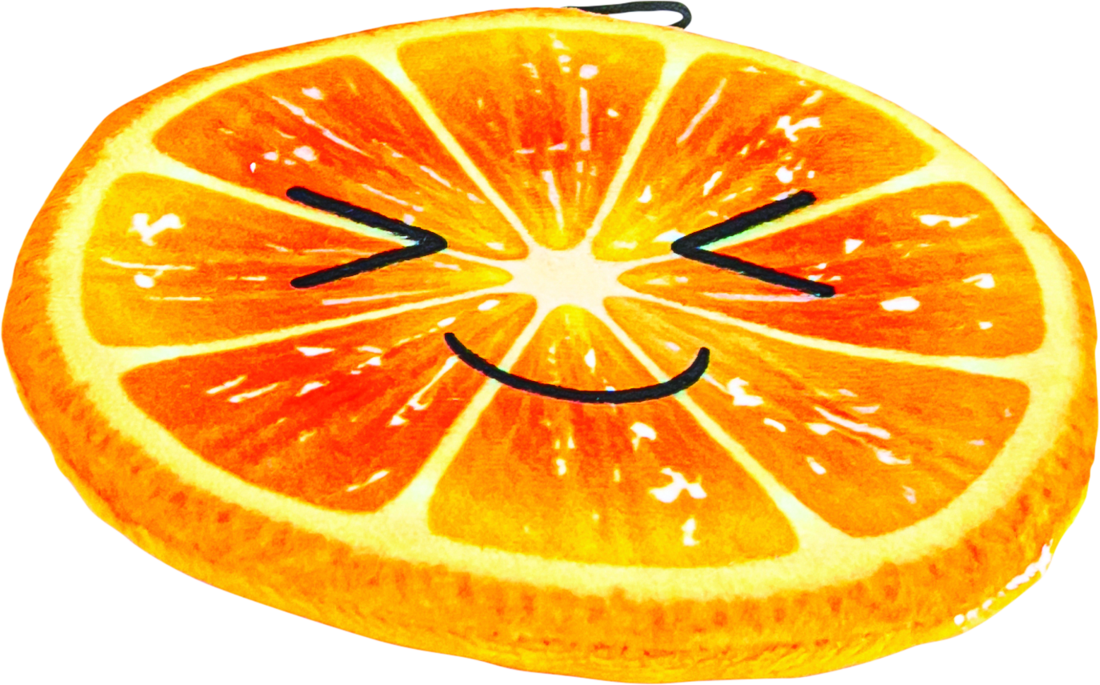 750683107120_2