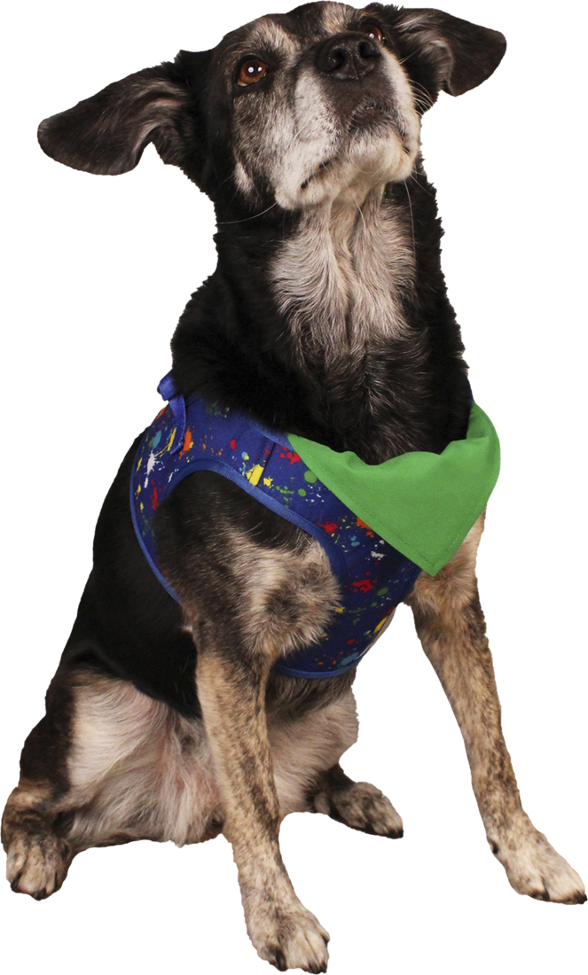 捨七　summer holiday PET 捨七 summer holiday PET