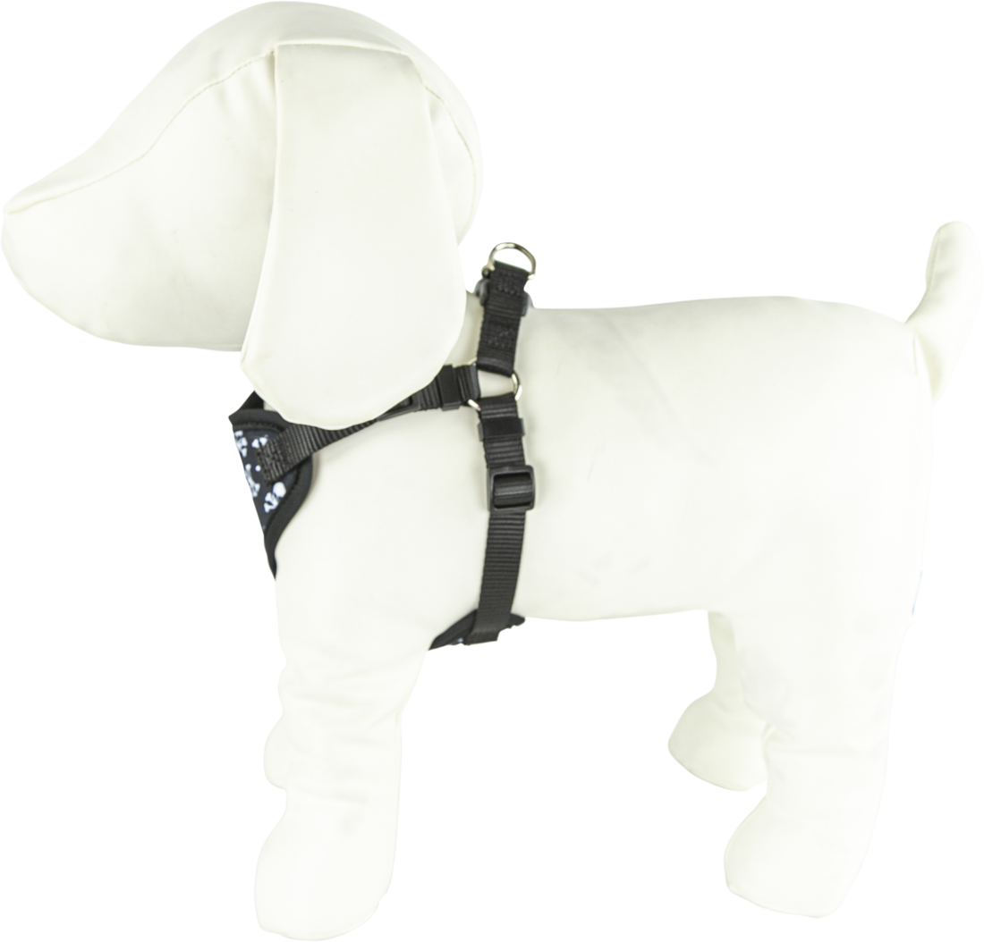 Play On Dog Harness, Skull, Extra Extra Small