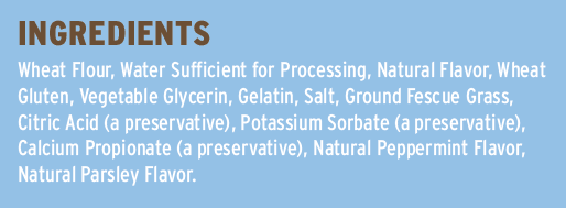 Hartwick Fields Dental Stix, Mint Flavor, Medium, 10 Count
