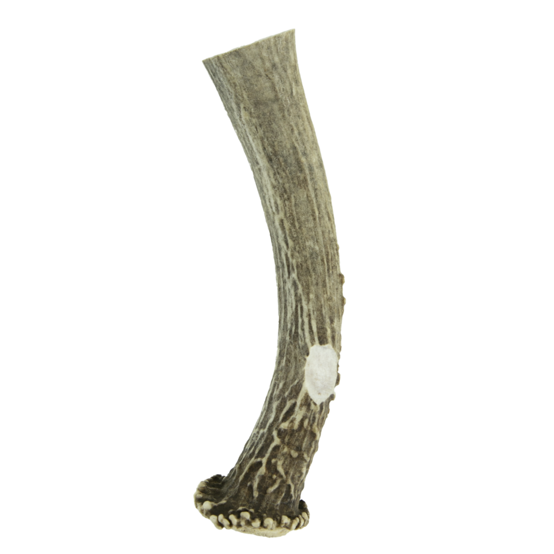 Dog Treats Natural Chews Wixom Ranch Natural Chews Whole Deer Antler