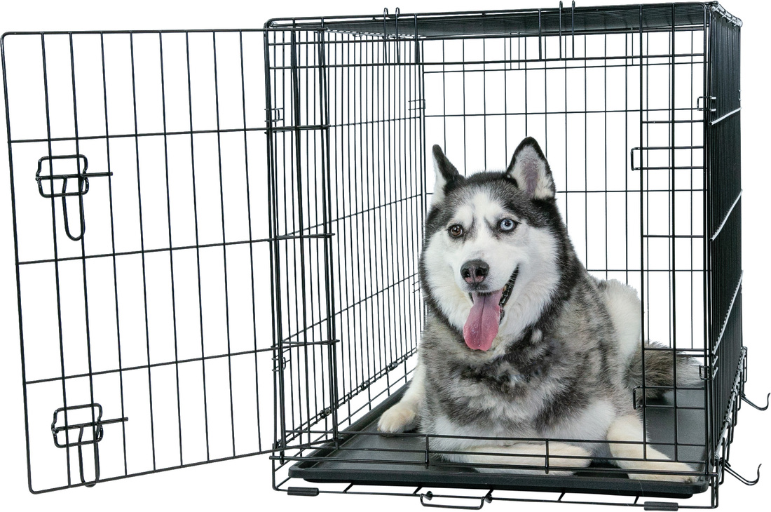 Play On Single Door Crate, Large, 36"L x 23"W x 25"H, 41-70lb Dog