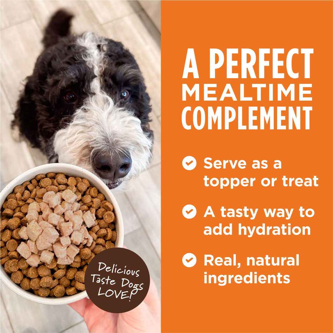 Instinct Healthy Cravings Grain-Free Cuts & Gravy Real Salmon Recipe in Savory Gravy Wet Dog Food To