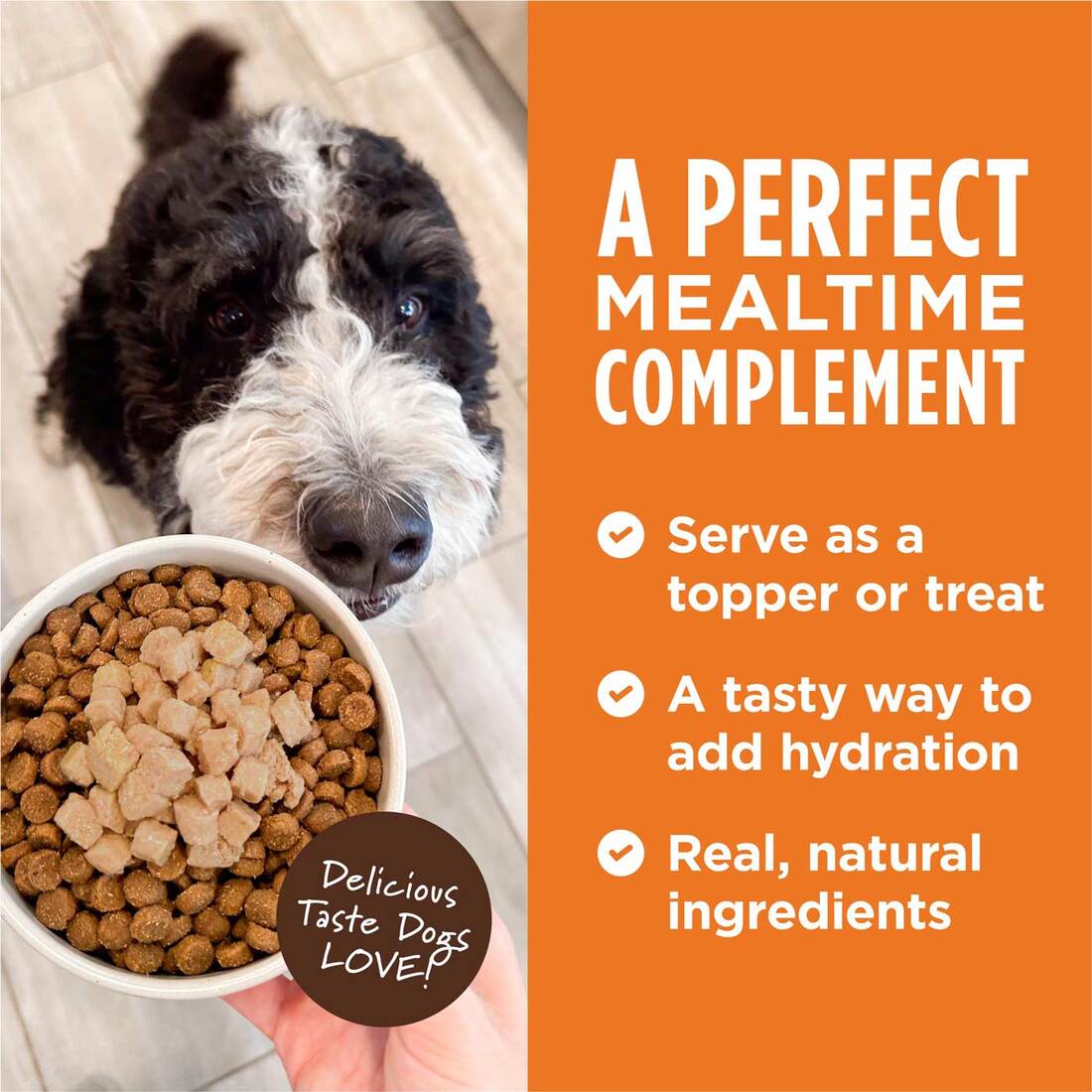 Instinct Healthy Cravings Grain-Free Cuts & Gravy Real Lamb Recipe in Savory Gravy Wet Dog Food Topp