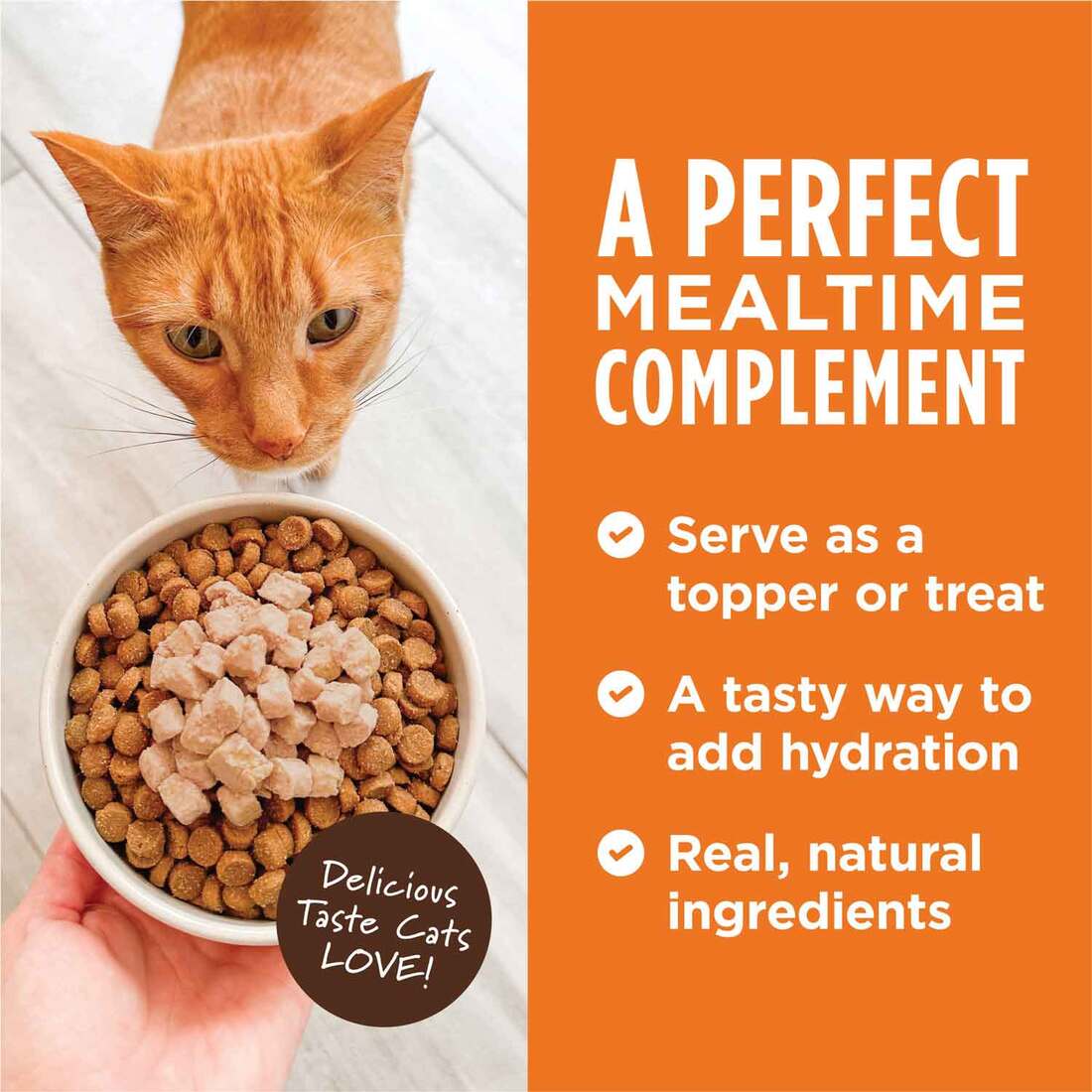 Instinct Healthy Cravings Natural Wet Cat Food, Topper, Grain-Free Cuts & Gravy Real Salmon Recipe, 