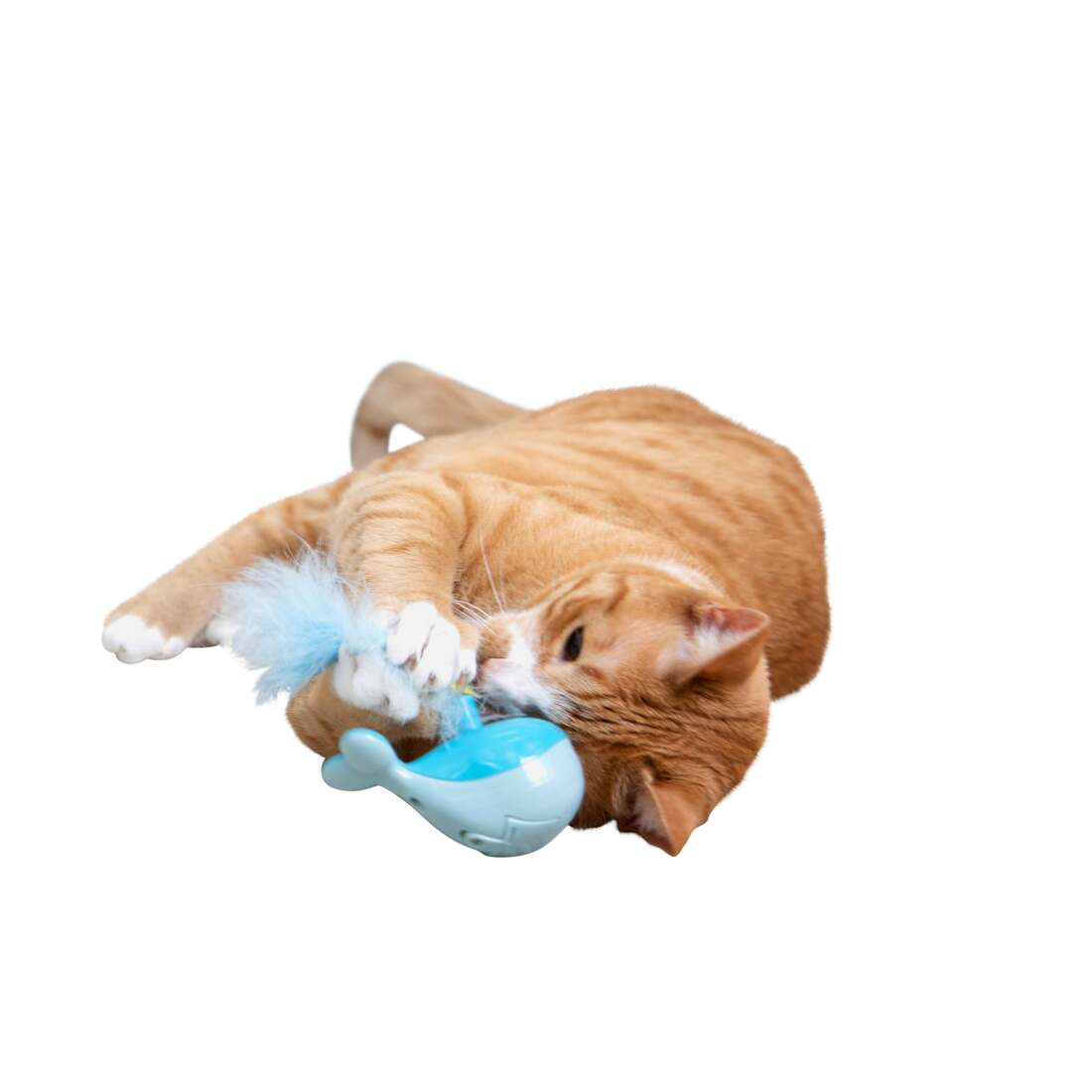 SmartyKat Spout N Spin Whale Cat Toy, Blue | Pet Supplies Plus