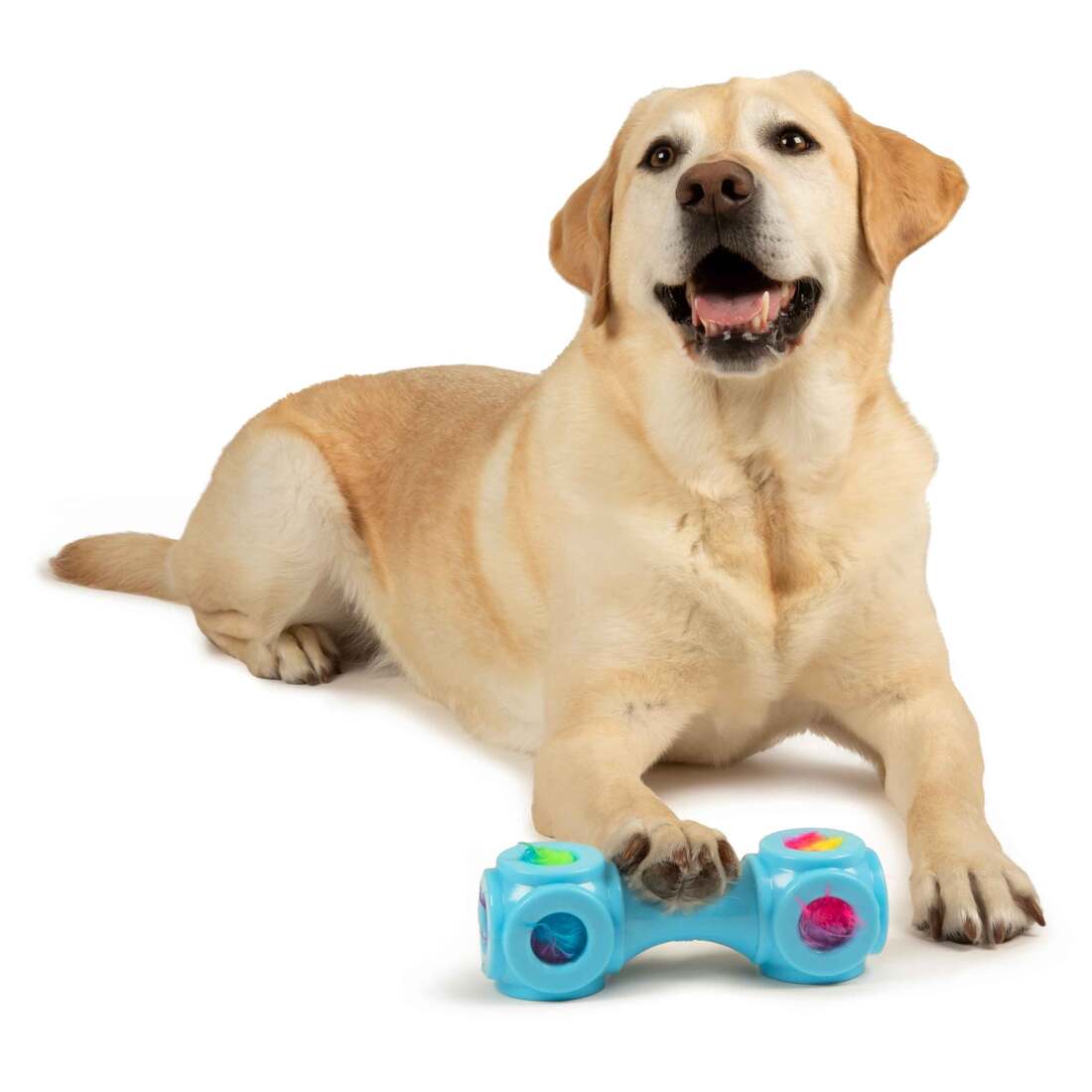 goDog Silent Squeak TPR Bounceez Bonezy Ultrasonic Dog Toy