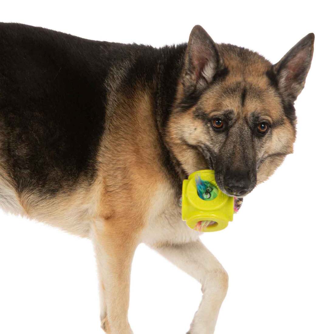 goDog Cage Ball 2-in-1 Burrow Bouncer with Rainbow Furballz Squeaky Plush Dog Toy