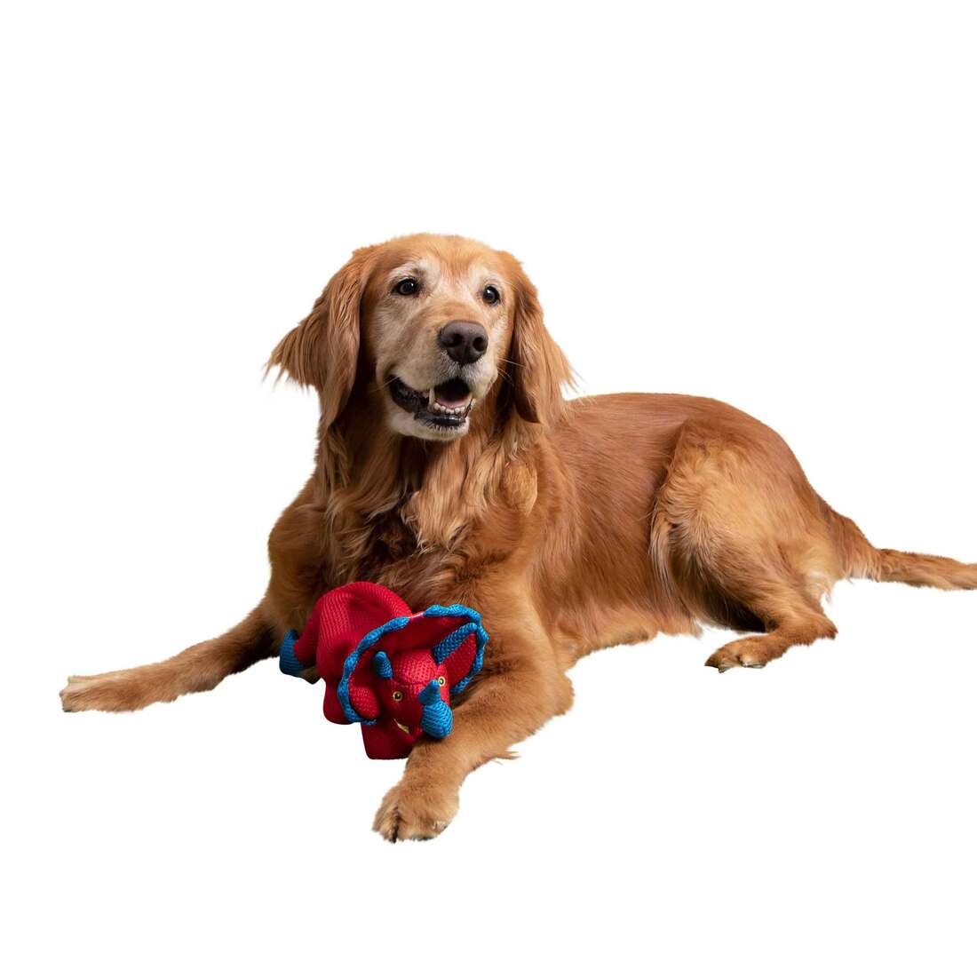 goDog Double Chew Guard Technology Dino Frills Squeaky Plush Dog Toy, Red, Small