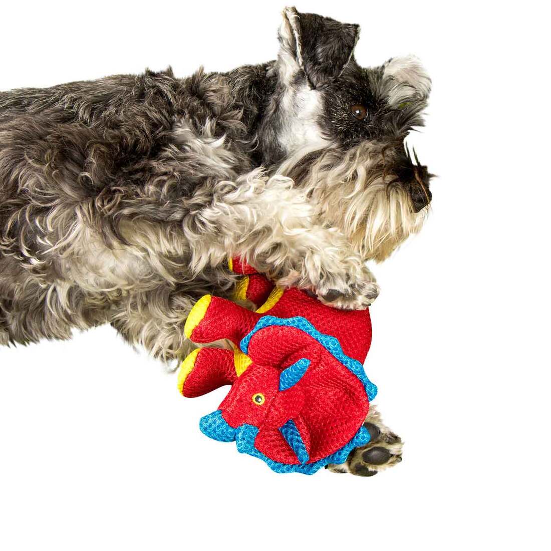 goDog Double Chew Guard Technology Dino Frills Squeaky Plush Dog Toy, Red, Small