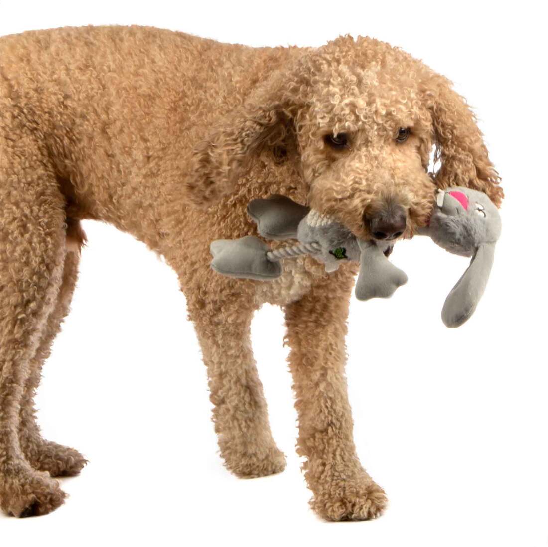 goDog Multi Tugs Rabbit Squeaky Plush & Rope Dog Toy With Chew Guard Technology, Grey, Small