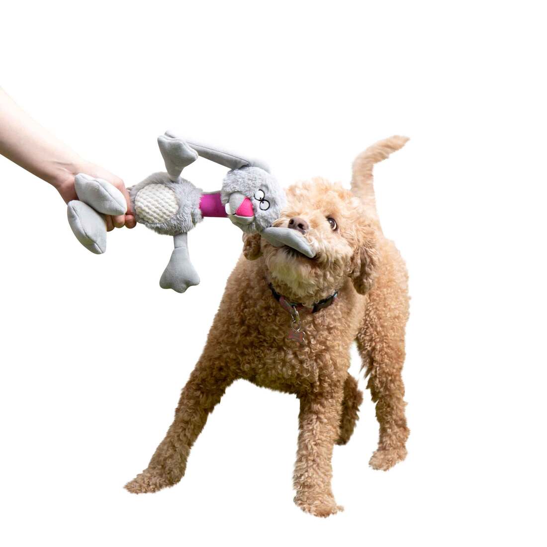 goDog Multi Tugs Rabbit Squeaky Plush & Rope Dog Toy With Chew Guard Technology, Grey, Small