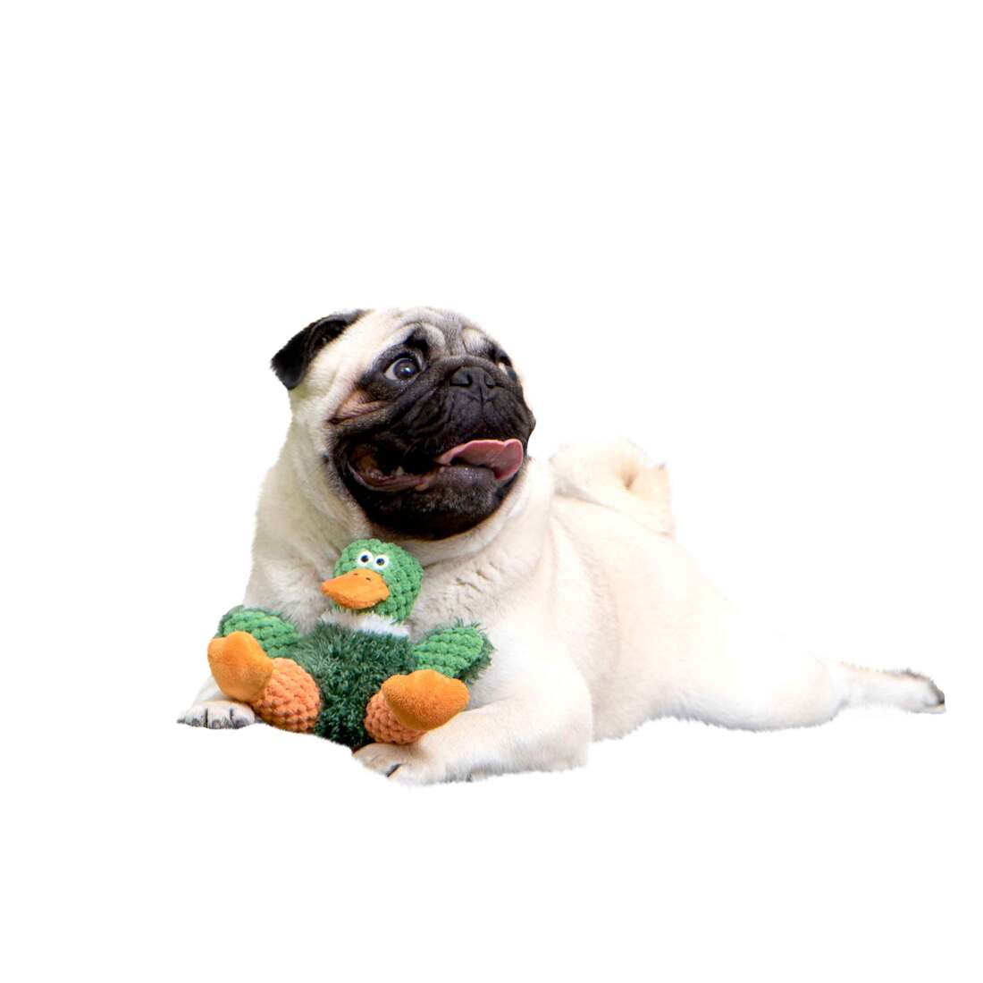 goDog Checkers Just For Me Sitting Duck Squeaky Plush Dog Toy With Chew Guard Technology, Mini