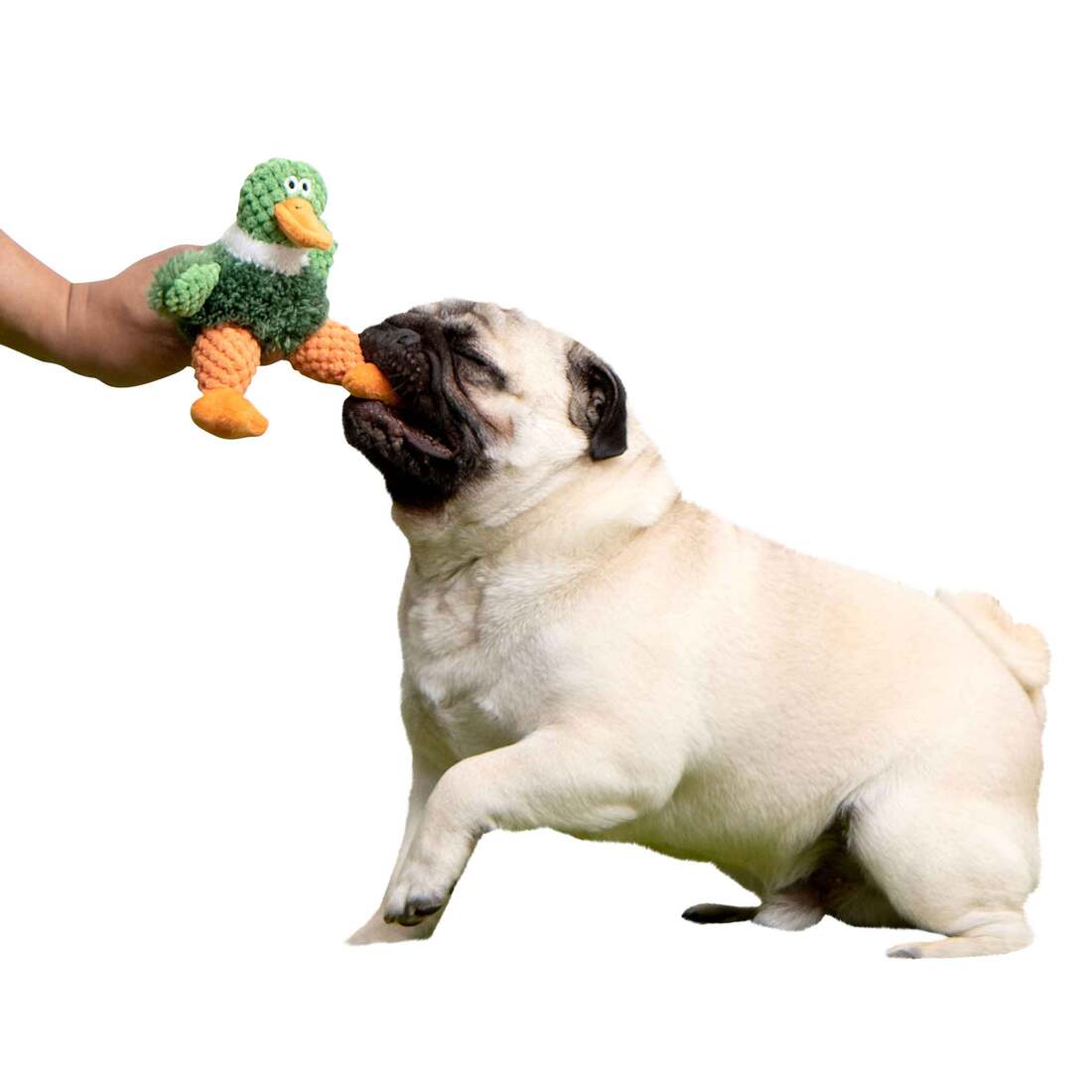 goDog Checkers Just For Me Sitting Duck Squeaky Plush Dog Toy With Chew Guard Technology, Mini